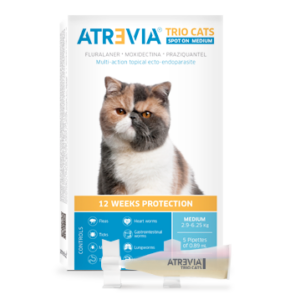 Atrevia Trio Cats Spot On Medium X 1PP