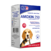 Amoxin 250