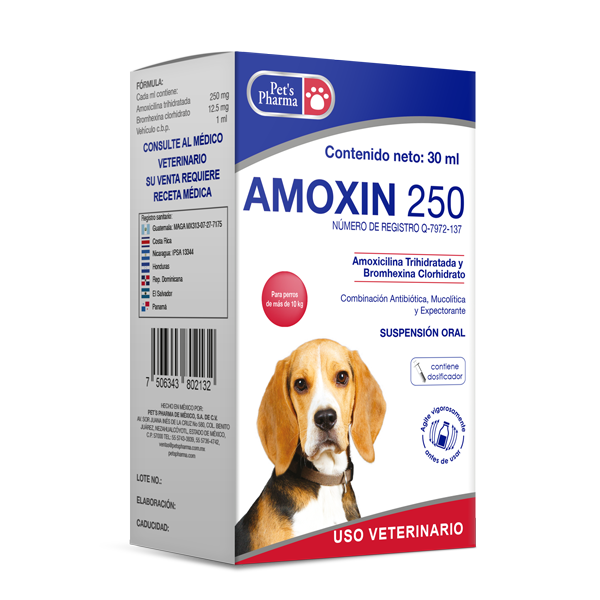 Amoxin 250