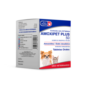 Amoxipet Plus 50