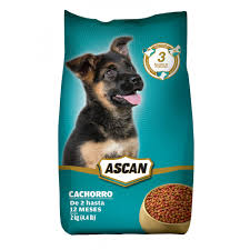 Ascan Cachorro